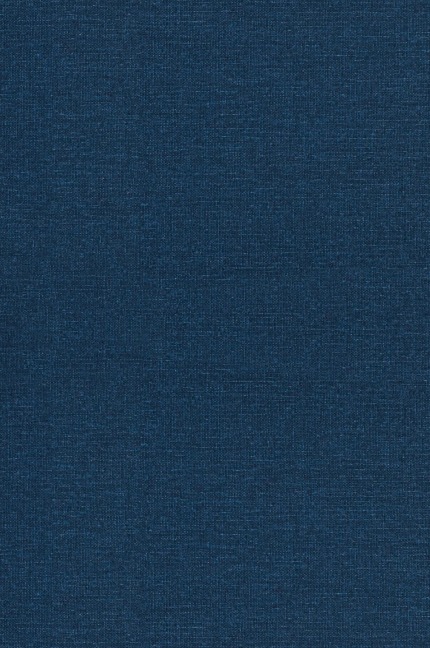 Tender Buttons by Gertrude Stein, Fiction, Literary, LGBT, Gay