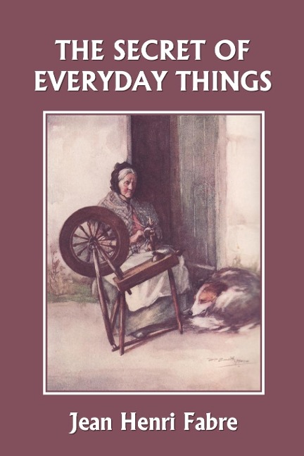 The Secret of Everyday Things (Yesterdays Classics)