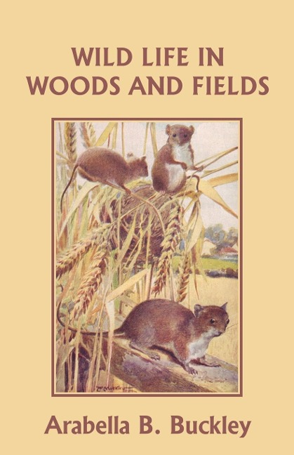 Wild Life in Woods and Fields (Yesterdays Classics)