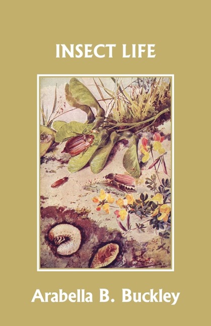 Insect Life (Yesterdays Classics)