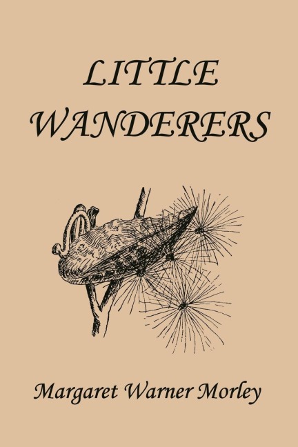 Little Wanderers, Illustrated Edition (Yesterdays Classics)
