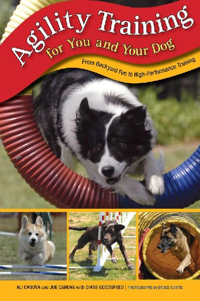 Agility Training for You and Your Dog: From Backyard Fun To High-Performance Training