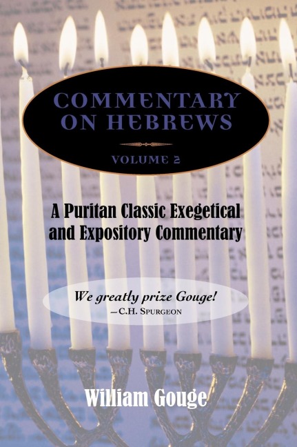 Commentary on Hebrews: Exegetical and Expository - Vol. 2 (8-13)