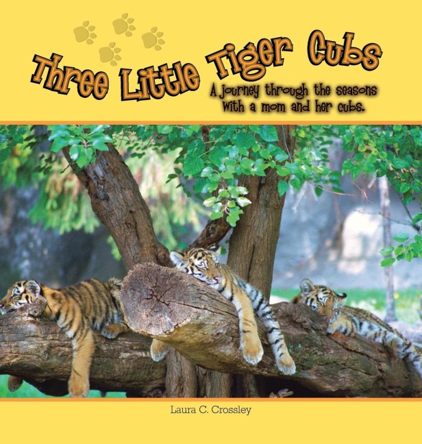 Three Little Tiger Cubs: A photographic journey through the seasons with a mom and her cubs