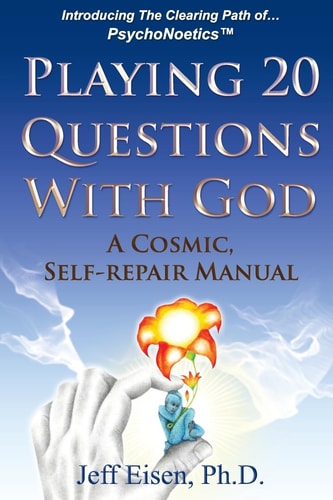 Playing 20 Questions with God A Cosmic Self-Repair Manual