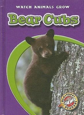 Bear Cubs