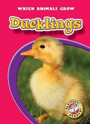 Ducklings