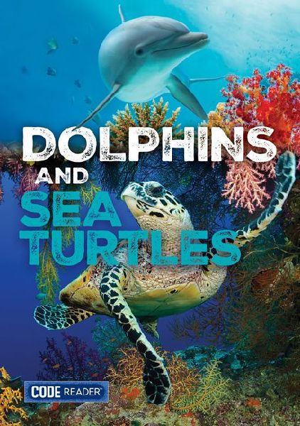 Dolphins and Sea Turtles