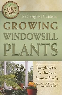 The Complete Guide to Growing Windowsill Plants: Everything You Need to Know Explained Simply