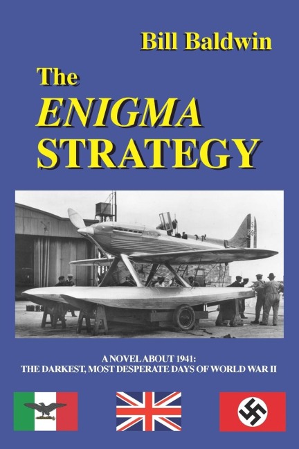 THE ENIGMA STRATEGY