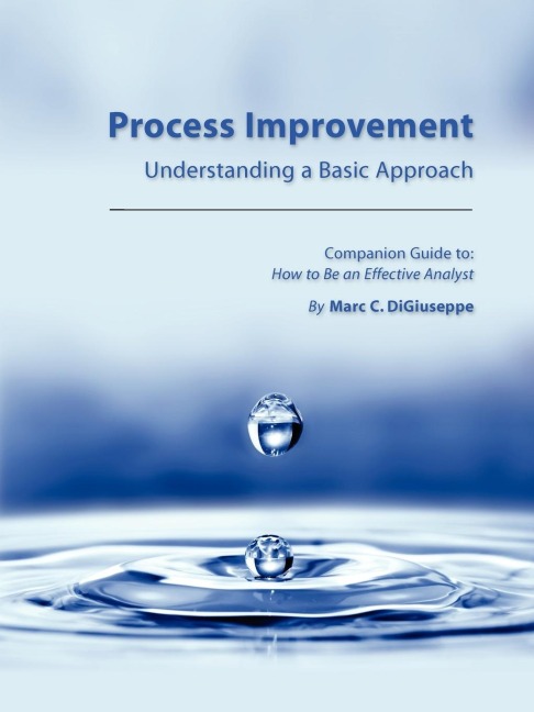 PROCESS IMPROVEMENT: Understanding a Basic Approach - Companion Guidebook to How to Be an Effective Analyst