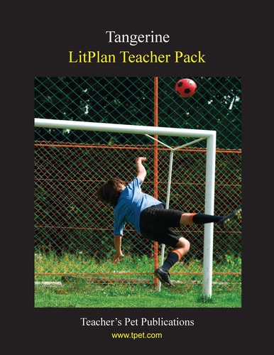 Litplan Teacher Pack Tangerine