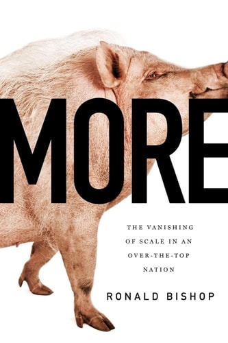 More The Vanishing of Scale in an Over-The-Top Nation