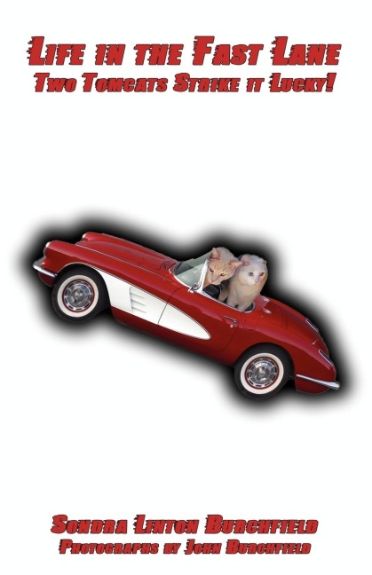 Life in the Fast Lane: Two Tom Cats Strike it Lucky!