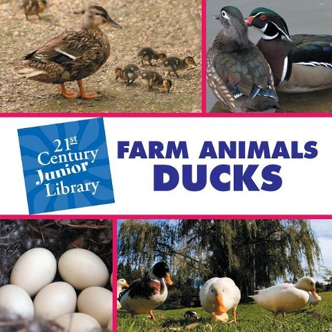 Farm Animals: Ducks