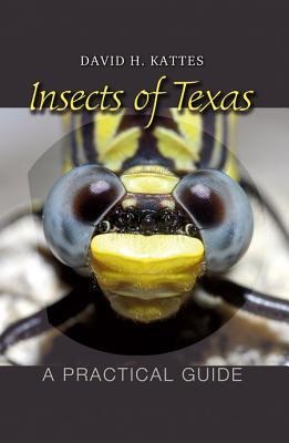 Insects of Texas: A Practical Guide Volume 39