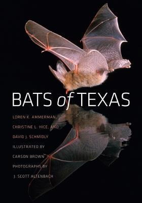 Bats of Texas: Volume 43