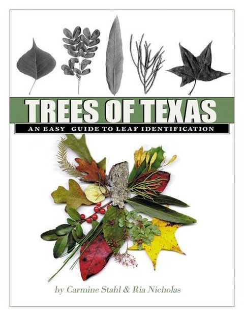 Trees of Texas: An Easy Guide to Leaf Identification Volume 34