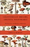Chanterelle Dreams, Amanita Nightmares: The Love, Lore, and Mystique of Mushrooms