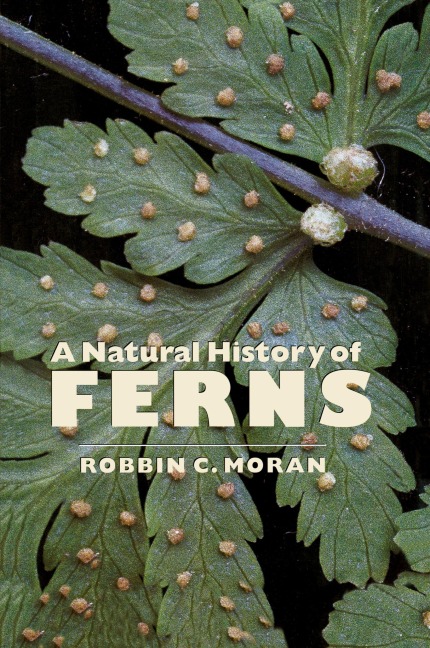 A Natural History of Ferns: A Natural History of Ferns