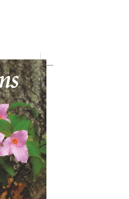 Trilliums