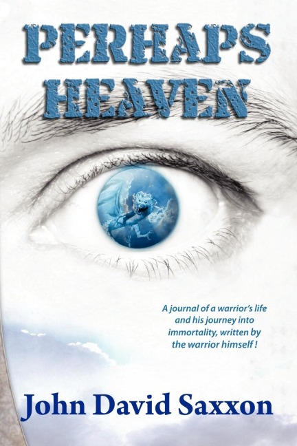 Perhaps Heaven: The Story of a Warriors Life and His Journey to Immortality, Book I