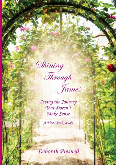 Shining Through James: Living the Journey That Doesnt Make Sense