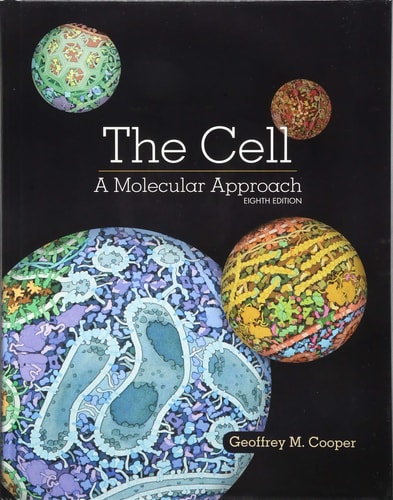 The Cell A Molecular Approach