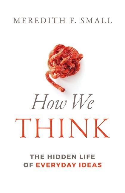 How We Think: The Hidden Life of Everyday Ideas