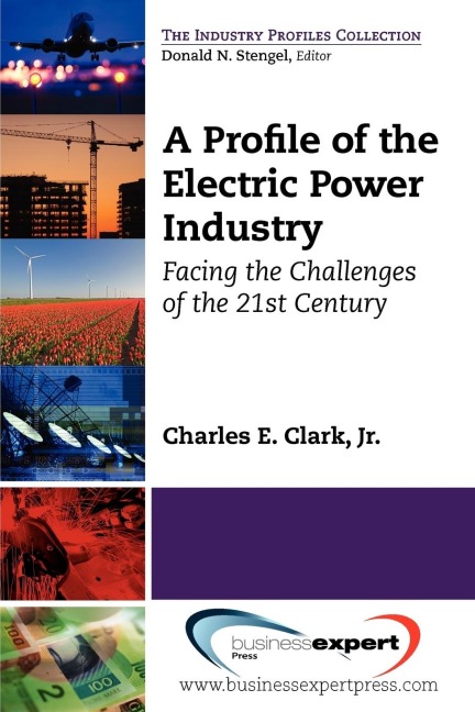 A Profile of the Electric Power Industry: Facing the Challenges of the 21st Century