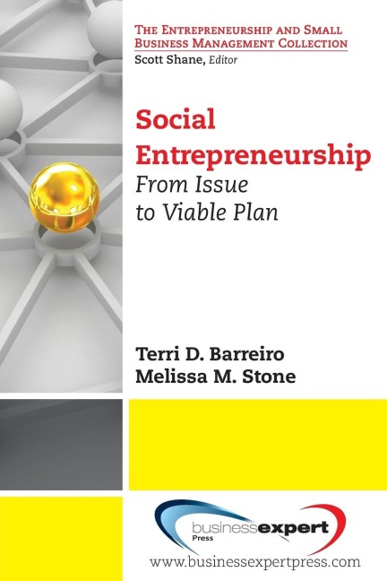 Social Entrepreneurship: From Issue to Viable Plan