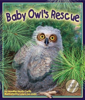 Baby Owls Rescue