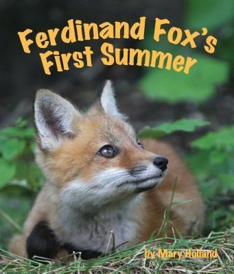 Ferdinand Foxs First Summer