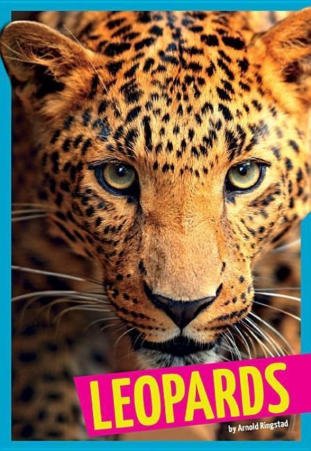 Leopards