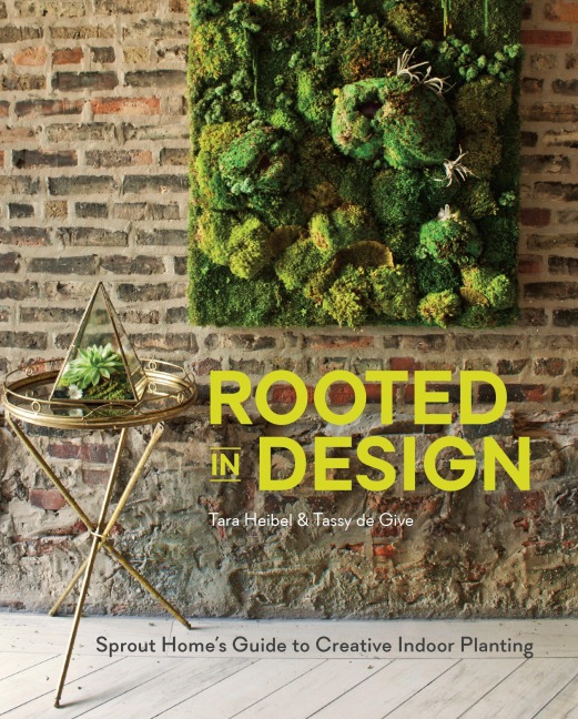 Rooted in Design: Sprout Homes Guide to Creative Indoor Planting