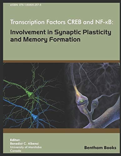 Transcription Factors CREB and NF-KB Involvement in Synaptic Plasticity and Memory Formation