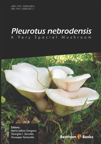 Pleurotus Nebrodensis A Very Special Mushroom