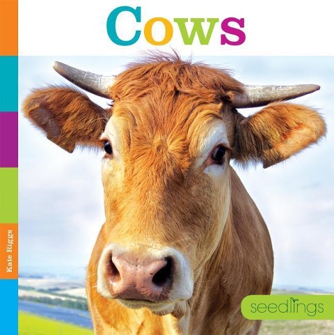 Cows