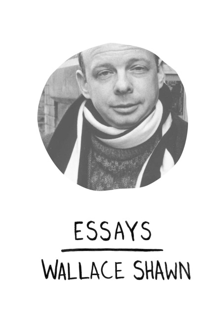 Essays