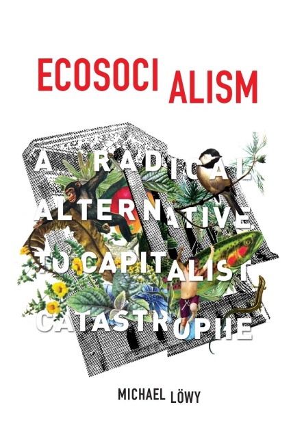 Ecosocialism: A Radical Alternative to Capitalist Catastrophe