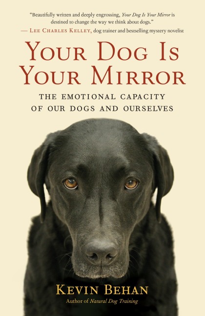 Your Dog is Your Mirror