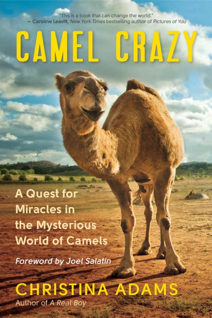 Camel Crazy: A Quest for Healing in the Secret World of Camels
