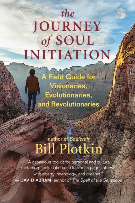 The Journey of Soul Initiation: A Field Guide for Visionaries, Revolutionaries, and Evolutionaries