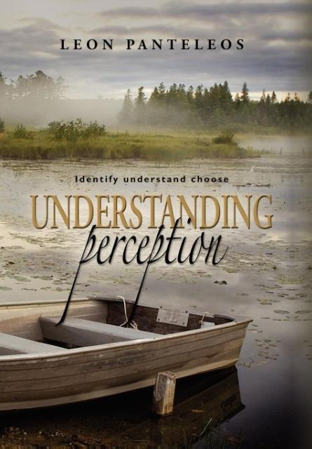 Understanding Perception: Identify, Understand, Choose