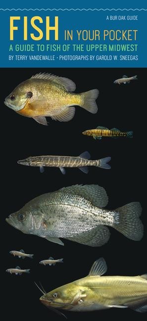 Fish in Your Pocket: A Guide to Fish of the Upper Midwest