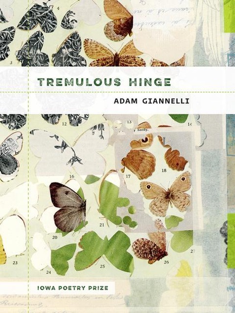 TREMULOUS HINGE