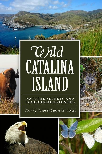 Wild Catalina Island: Natural Secrets and Ecological Triumphs