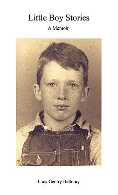 Little Boy Stories
