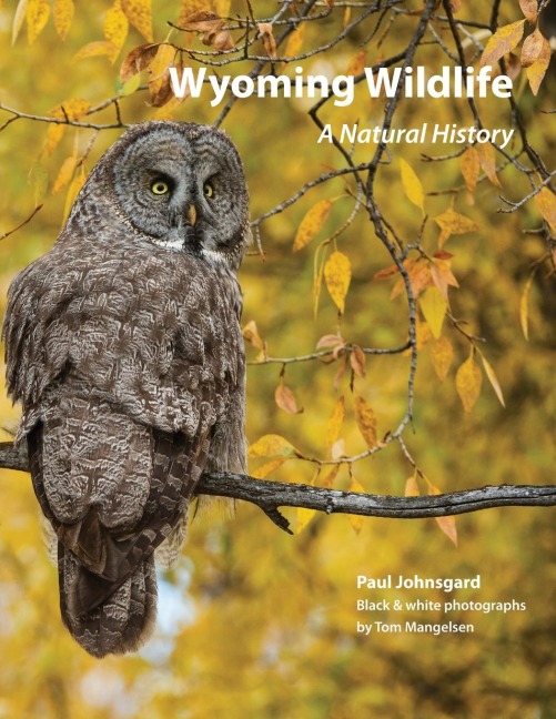 Wyoming Wildlife: A Natural History (Black & white edition)