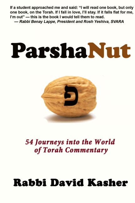 ParshaNut: 54 Journeys into the World of Torah Commentary